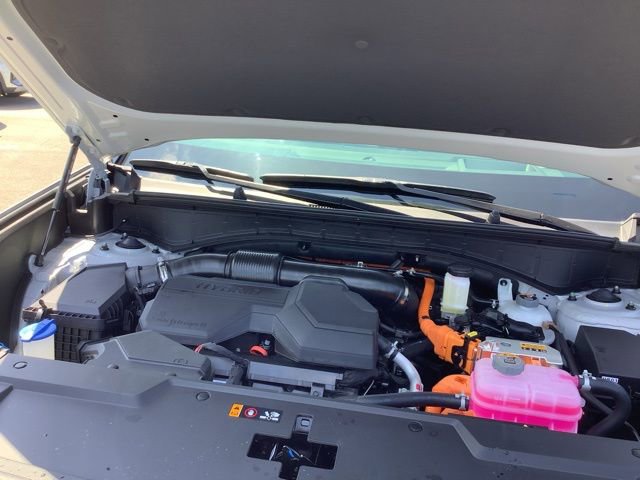 New 2026 Hyundai Santa Fe Calligraphy image 14