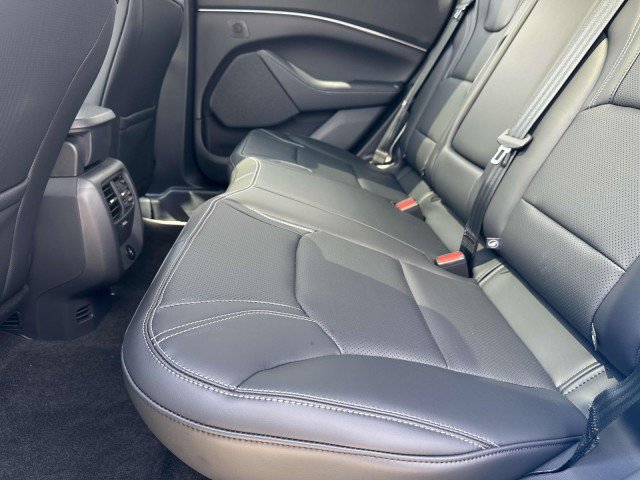 New 2025 Ford Mustang Mach-E Premium RWD image 20
