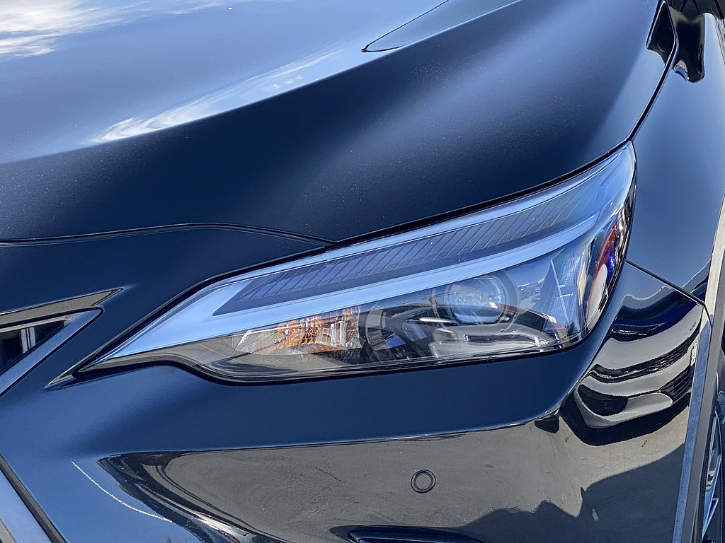 Used 2025 Lexus NX 350h AWD w/ Cold Area Package image 7