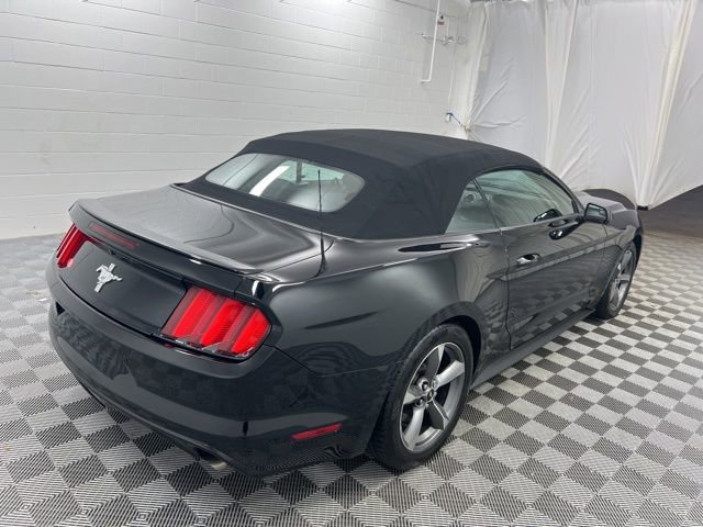Used 2016 Ford Mustang Convertible w/ Equipment Group 051A image 5