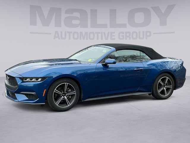 Used 2024 Ford Mustang Premium RWD image 2