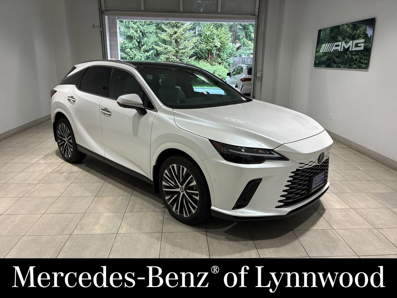 Used 2023 Lexus RX 350 w/ Cold Area Package