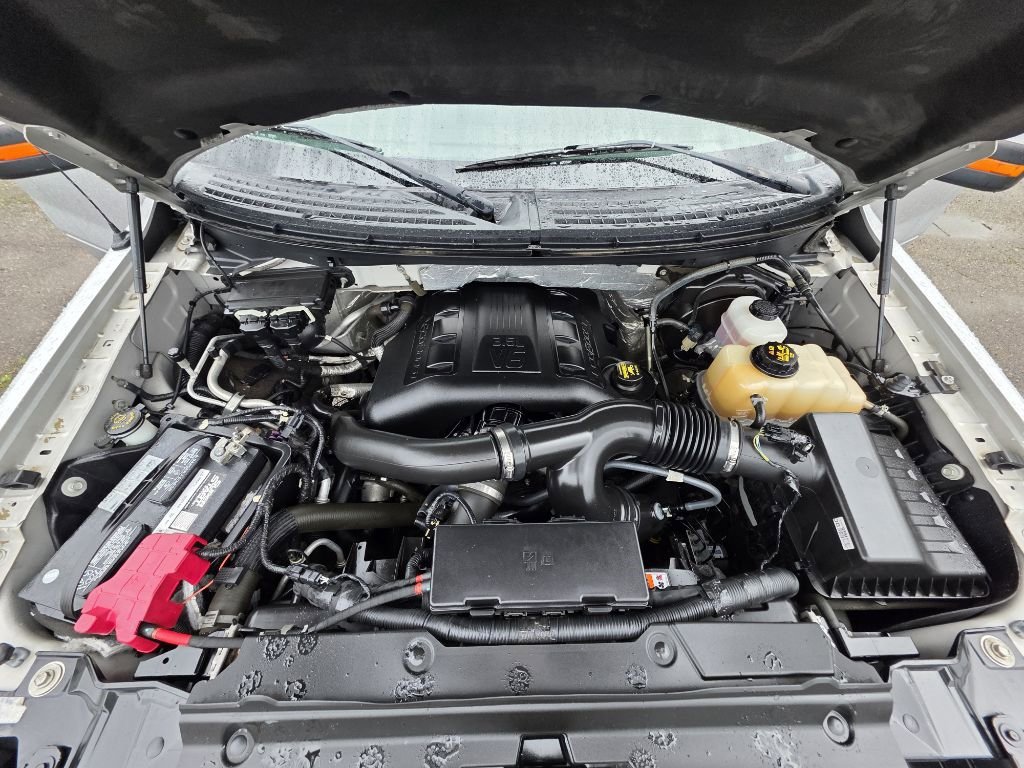 Used 2012 Ford F150 FX4 w/ FX Luxury Pkg image 19