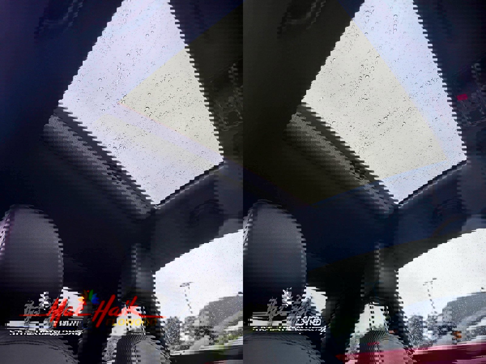 Used 2019 Volkswagen Beetle 2.0T SE image 10