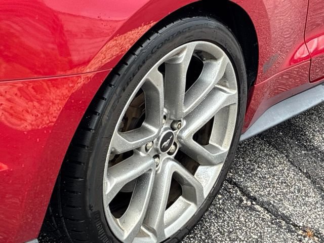 Used 2020 Ford Mustang GT Premium w/ Equipment Group 401A RWD image 15