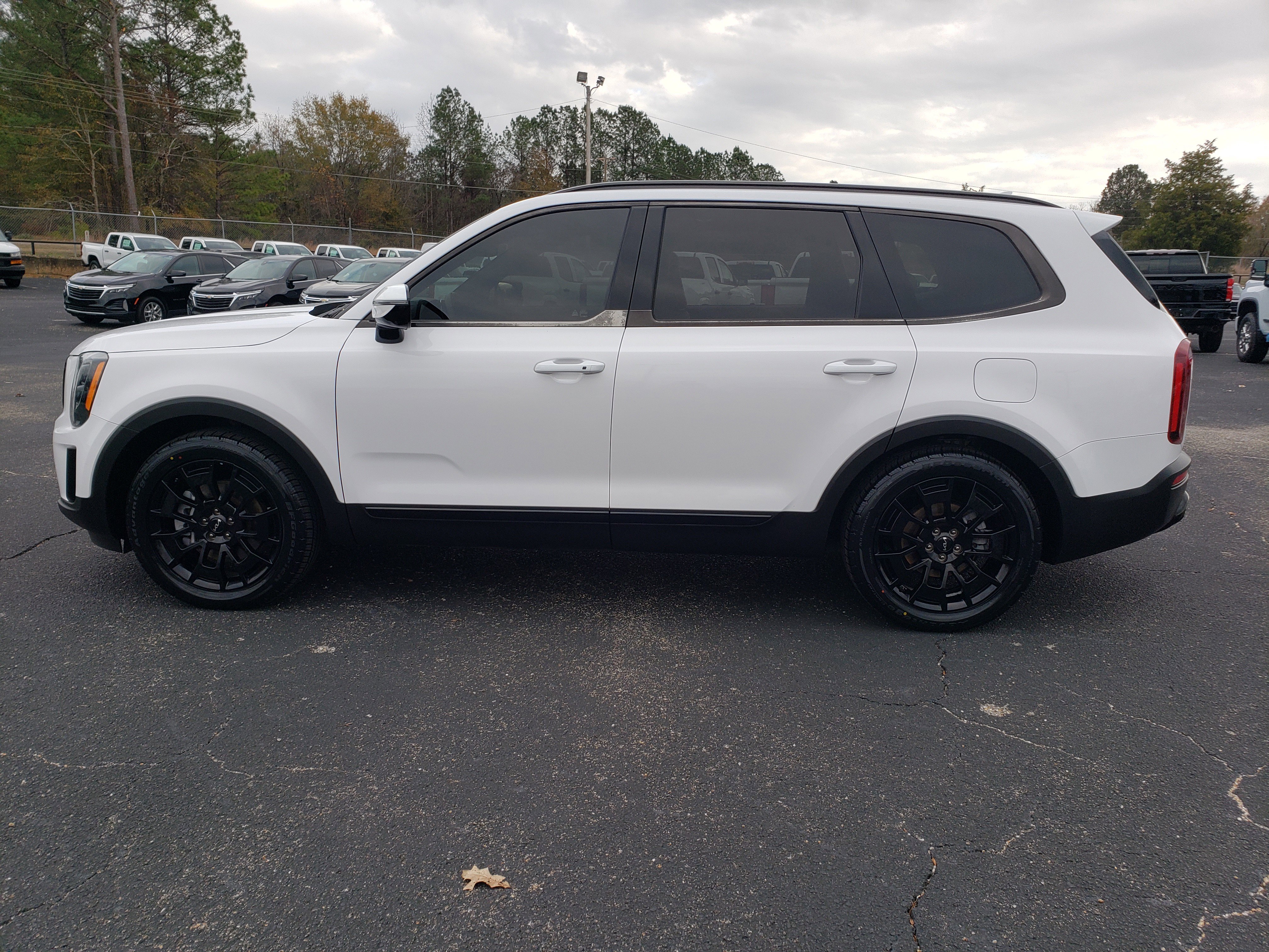 Used 2022 Kia Telluride SX w/ SX Prestige Package image 6