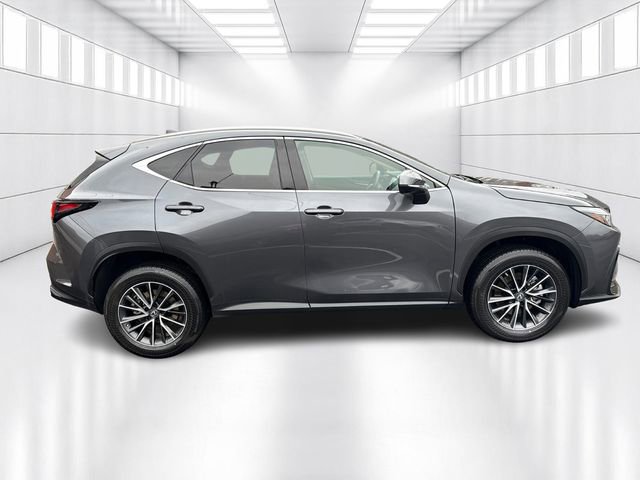 Certified 2023 Lexus NX 250 AWD image 4
