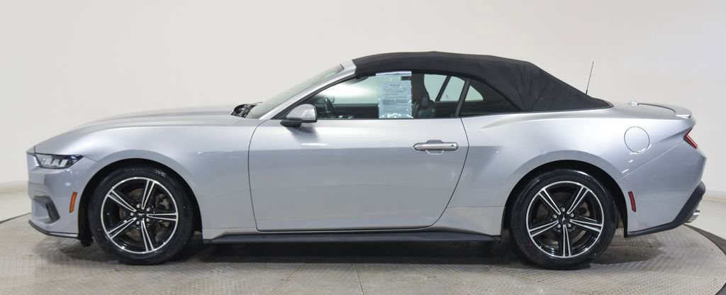 Used 2024 Ford Mustang Premium image 5