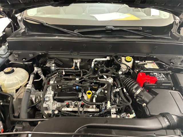 Used 2021 Ford Bronco Sport Big Bend image 11