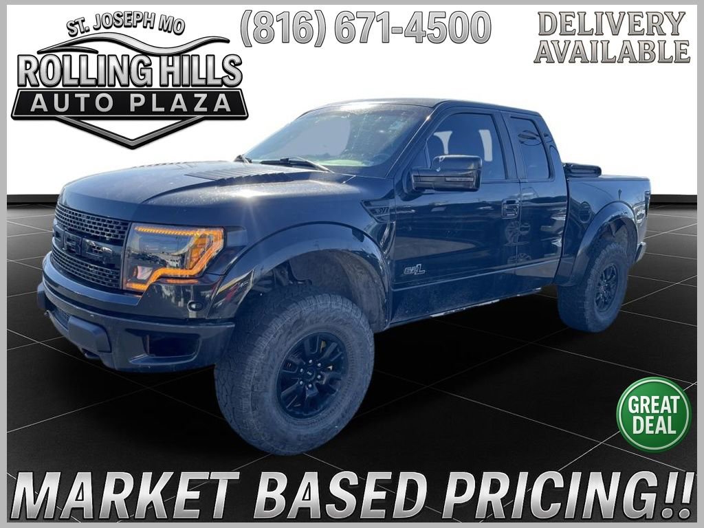 Used 2010 Ford F150 Raptor image 1