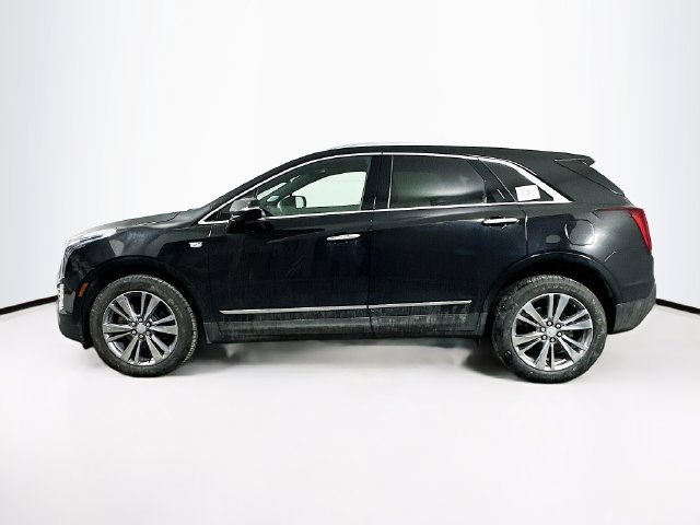 New 2025 Cadillac XT5 Premium Luxury AWD/4WD image 3