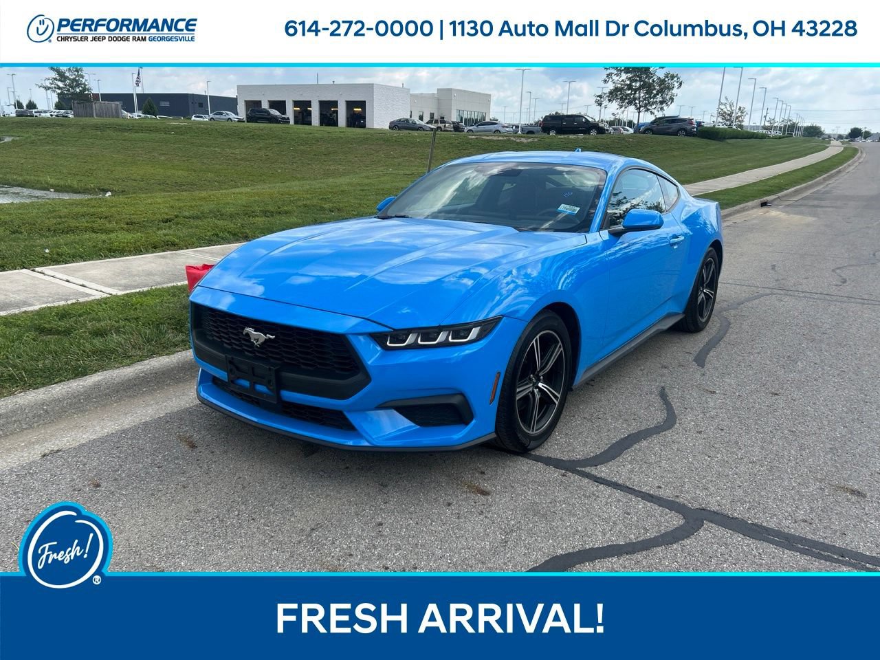 Used 2024 Ford Mustang Coupe RWD image 6