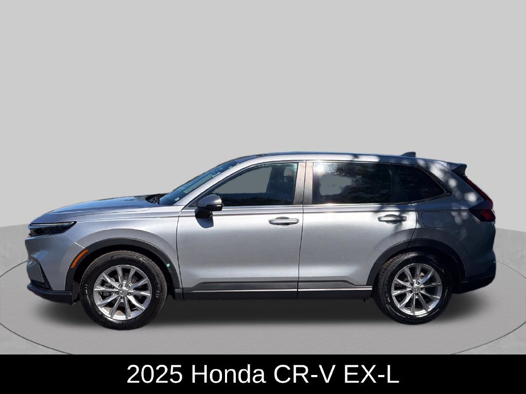 Used 2025 Honda CR-V EX-L image 2