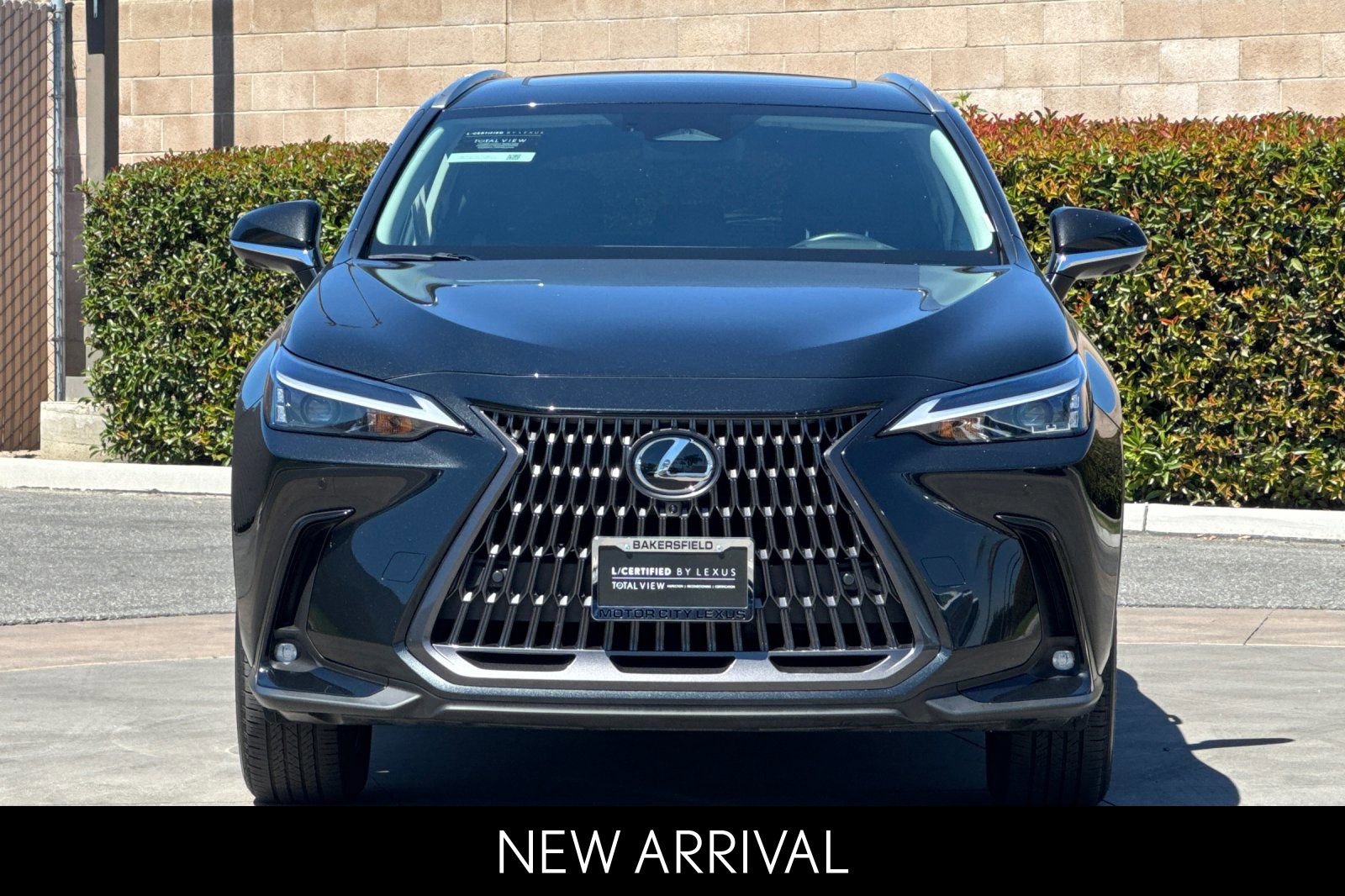 Certified 2025 Lexus NX 350h AWD w/ Cold Area Package image 10