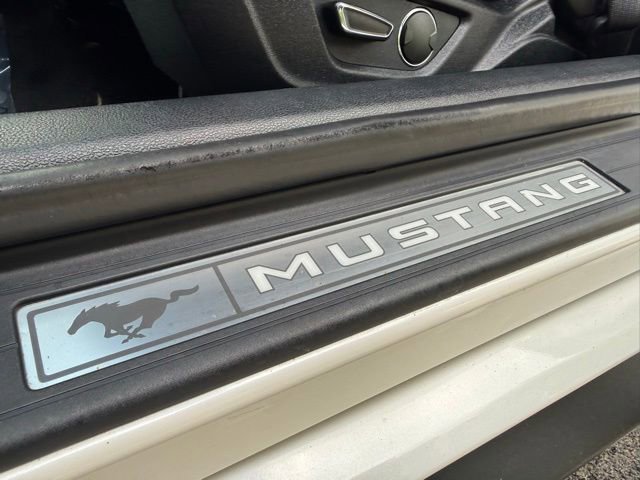 Used 2017 Ford Mustang GT Premium w/ Equipment Group 401A RWD image 20