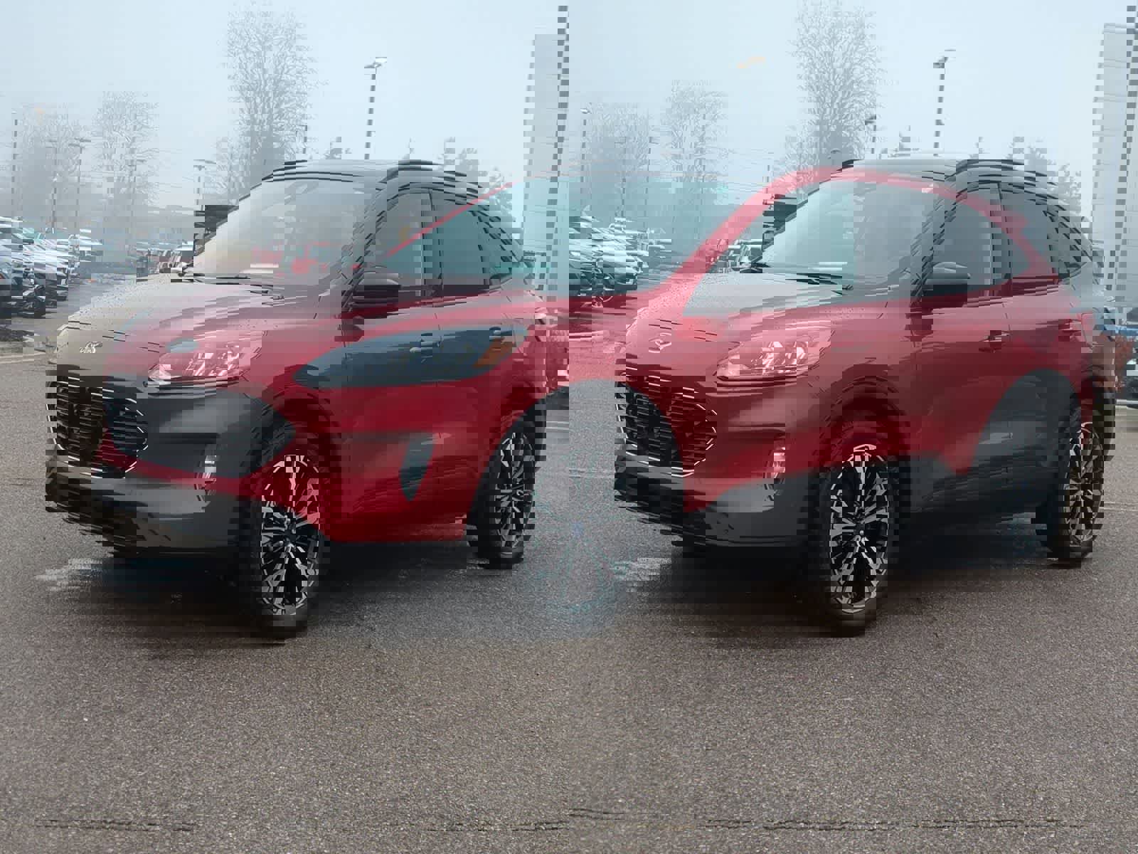 Used 2022 Ford Escape SEL w/ SEL Stealth AWD Package image 4