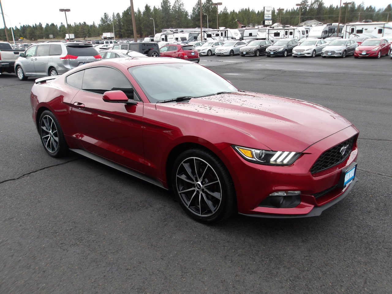 Used 2016 Ford Mustang Coupe w/ Interior & Wheel Package image 7