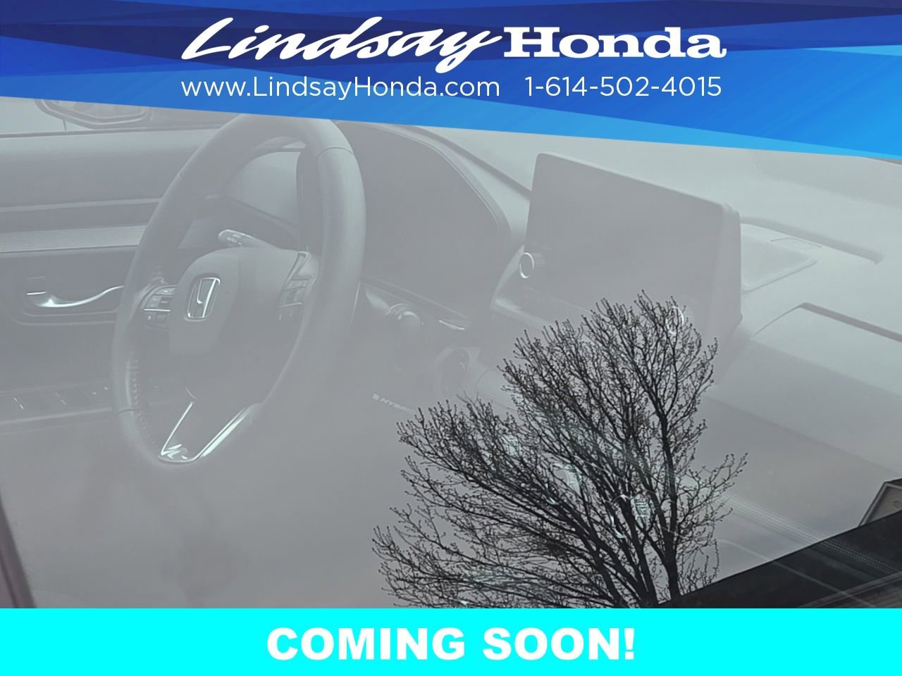 Used 2023 Honda CR-V Sport image 15