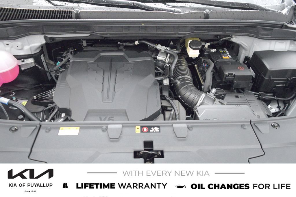 New 2026 Kia Carnival SX image 20