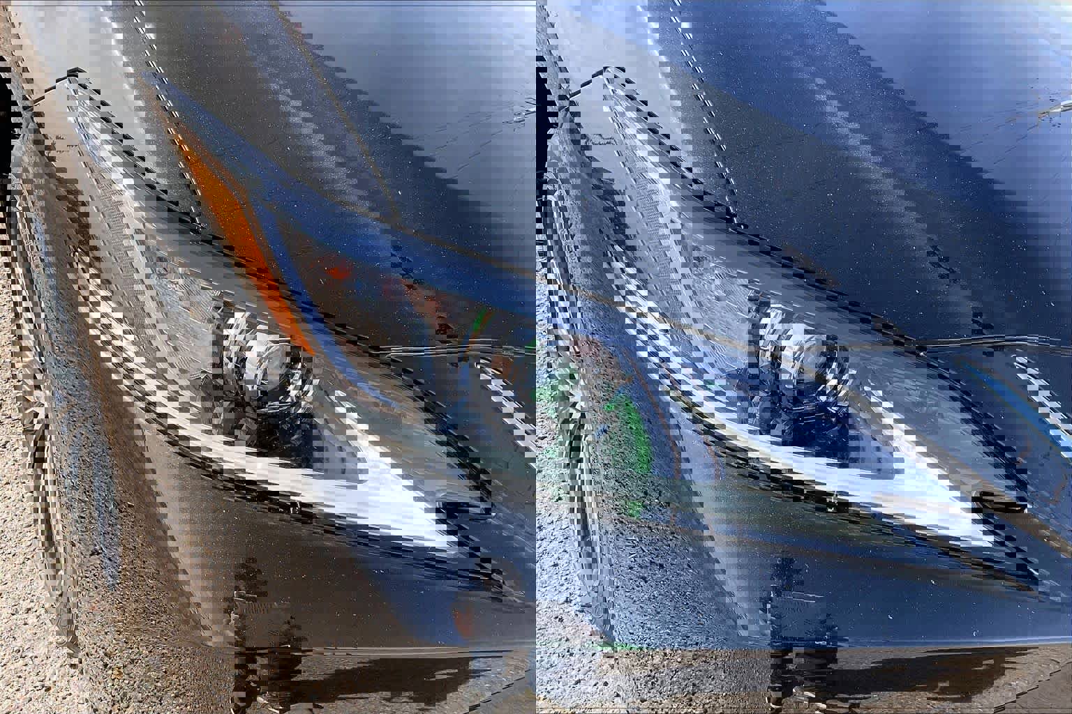 Used 2025 Lexus ES 300h w/ Premium Package image 26