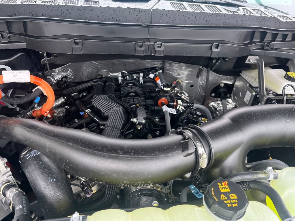 New 2026 Ford F150 Platinum w/ Equipment Group 702A High image 3