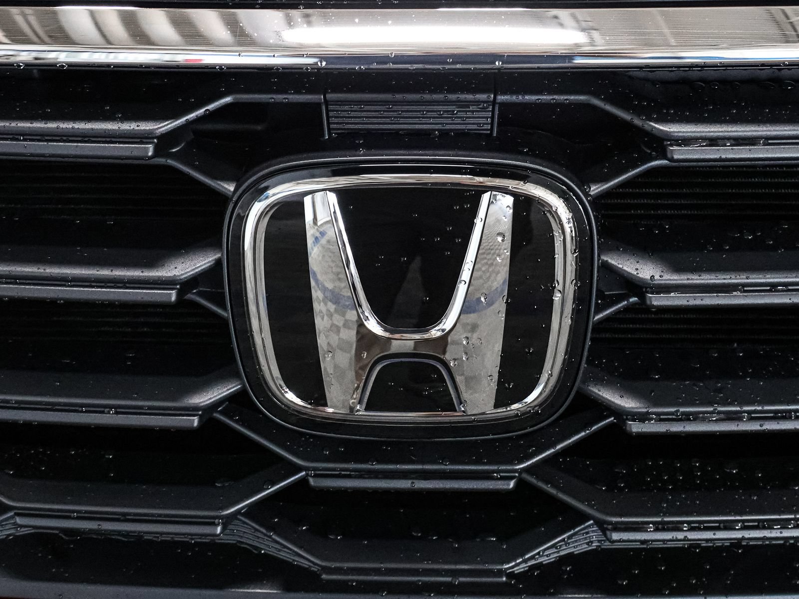 Used 2025 Honda Pilot EX-L image 13