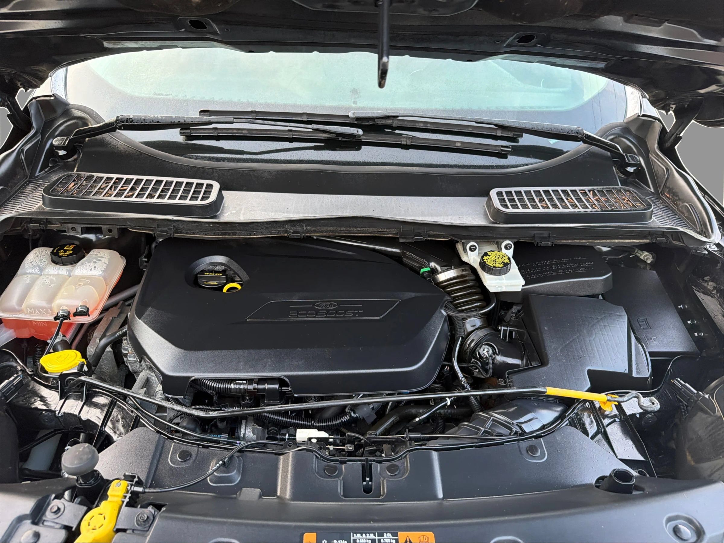 Used 2015 Ford Escape SE FWD image 13