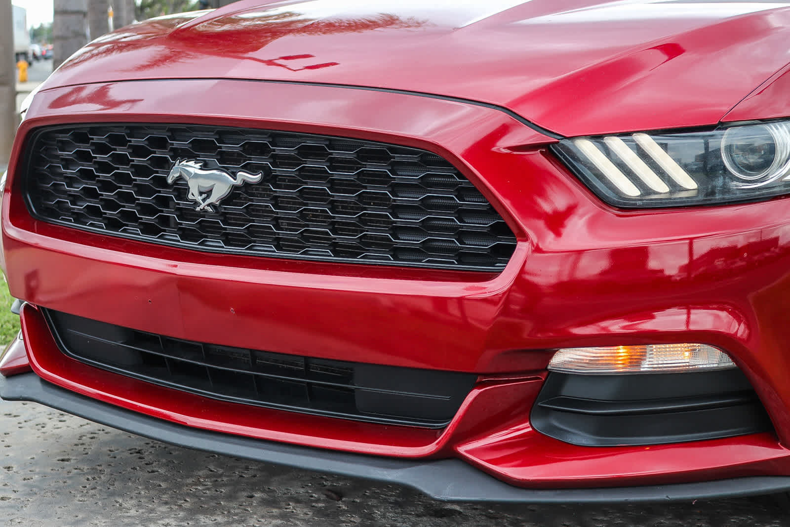 Used 2017 Ford Mustang Coupe RWD image 9