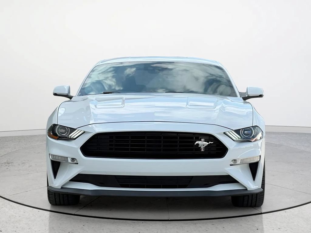 Used 2019 Ford Mustang GT Premium w/ Equipment Group 401A RWD image 4