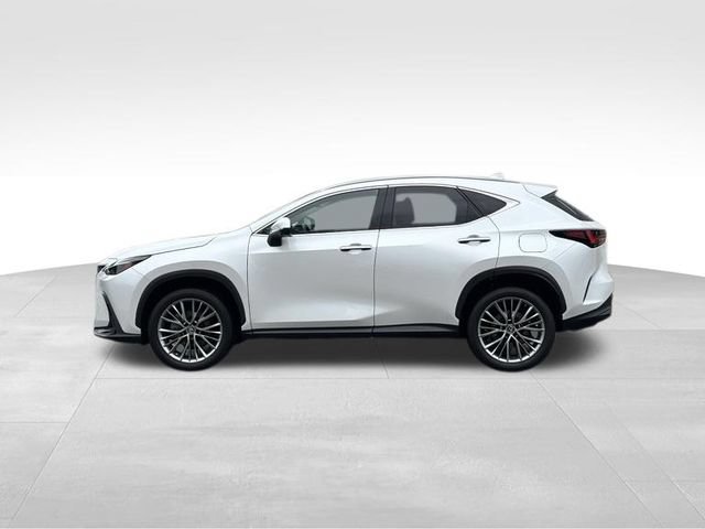 Used 2023 Lexus NX 350 AWD w/ Vision Package video 2