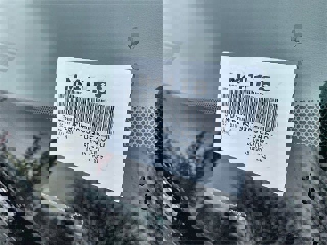 New 2025 Toyota RAV4 XLE image 38