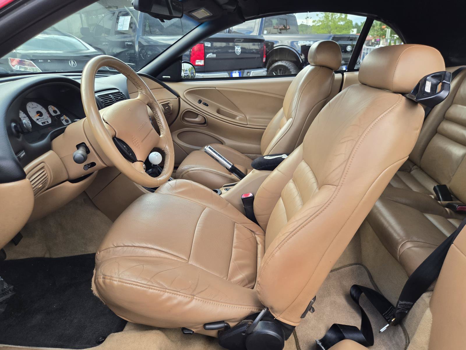 Used 1998 Ford Mustang Cobra RWD image 14
