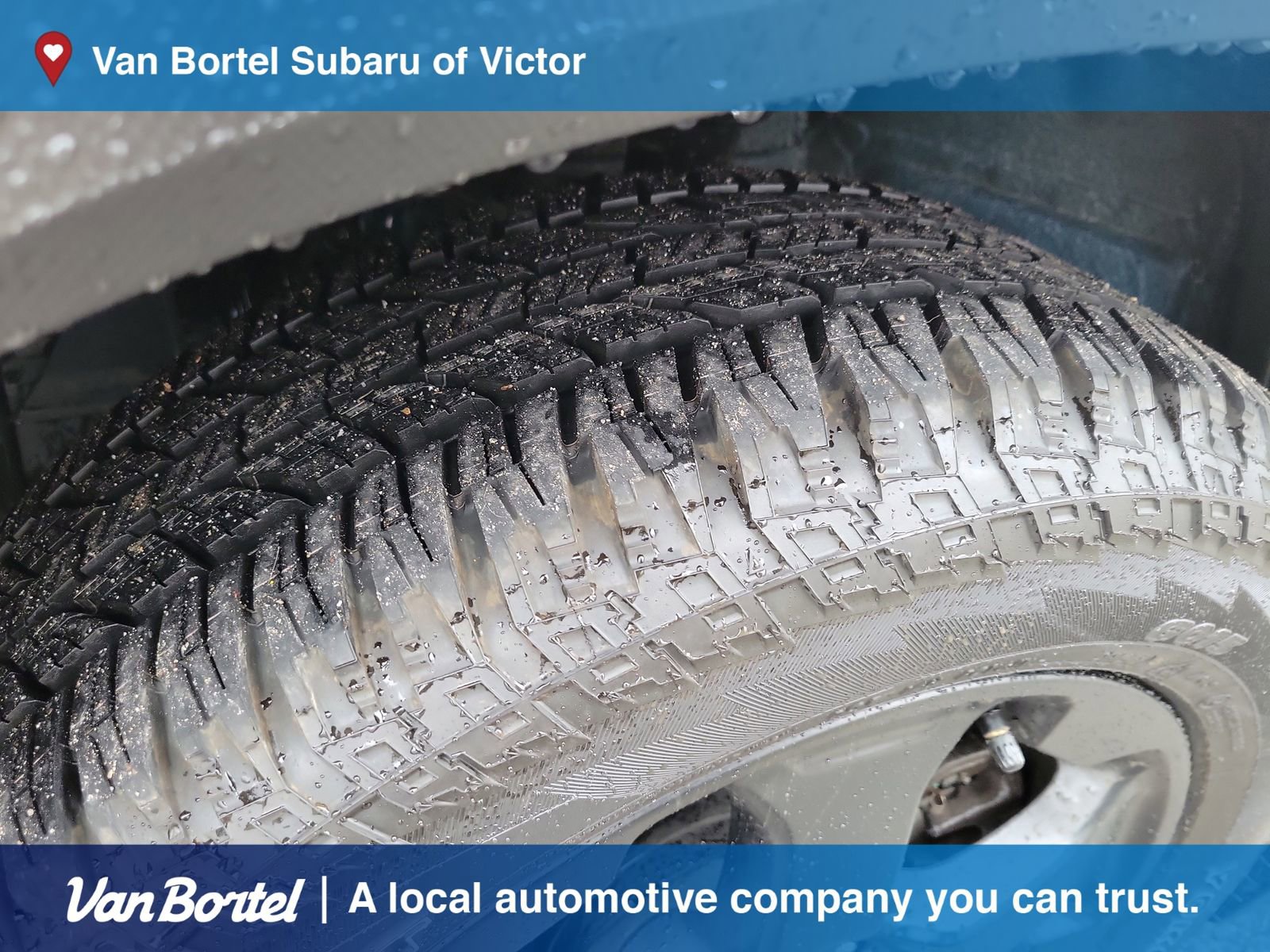 Certified 2023 Subaru Forester Wilderness image 10