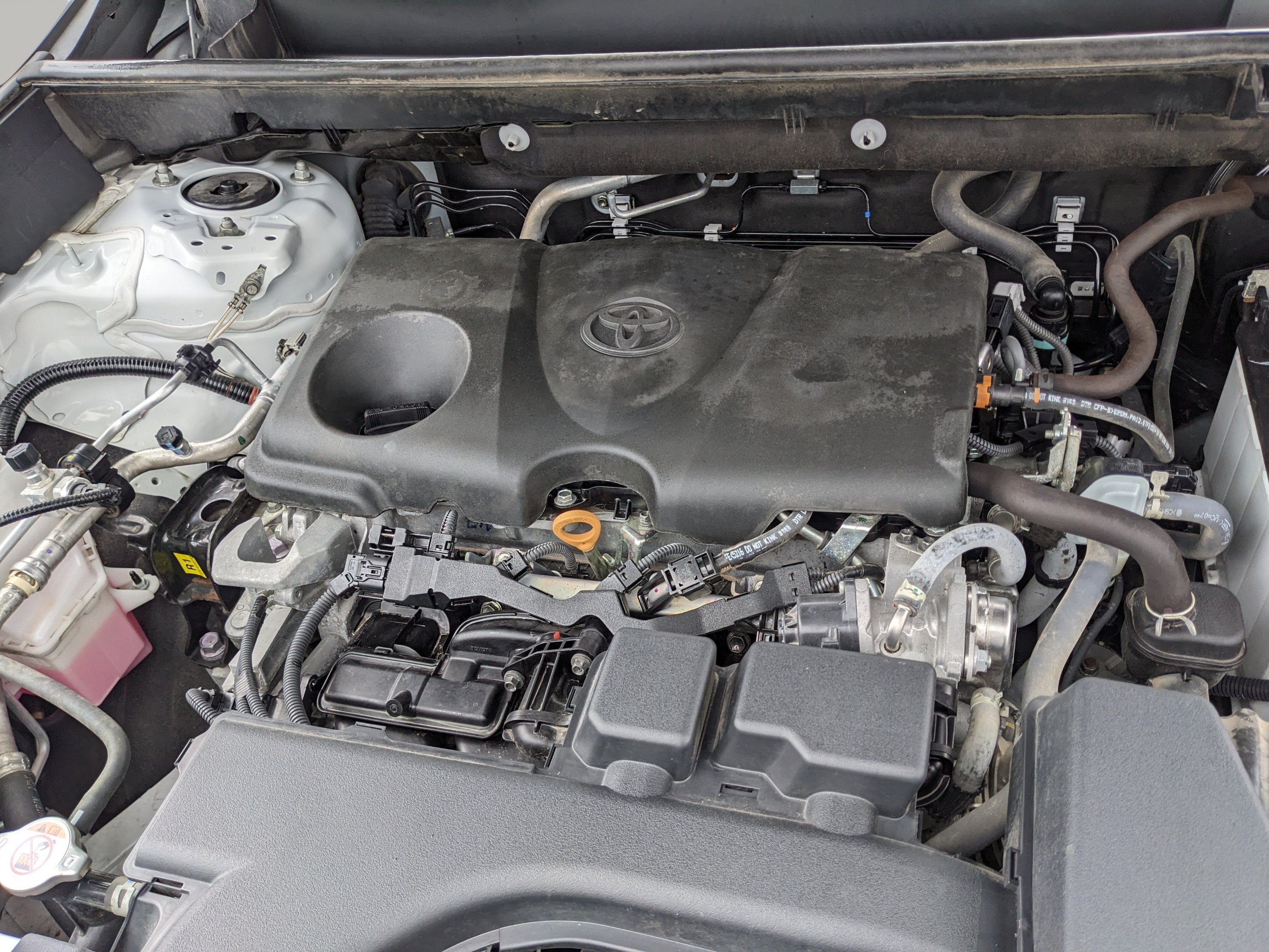 Used 2025 Toyota RAV4 XLE FWD image 10