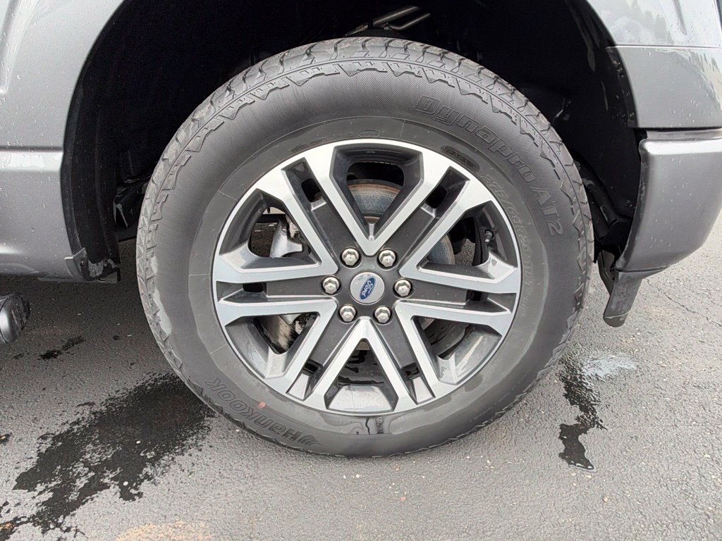Used 2023 Ford F150 XL w/ STX Appearance Package AWD/4WD image 6