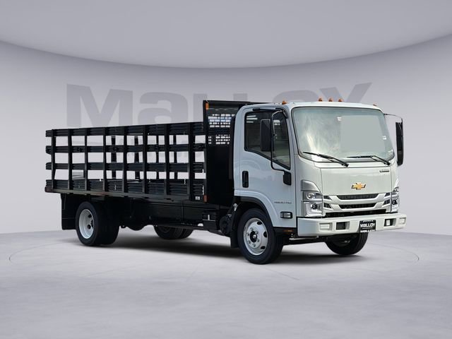 New 2024 Chevrolet Low Cab Forward RWD image 1
