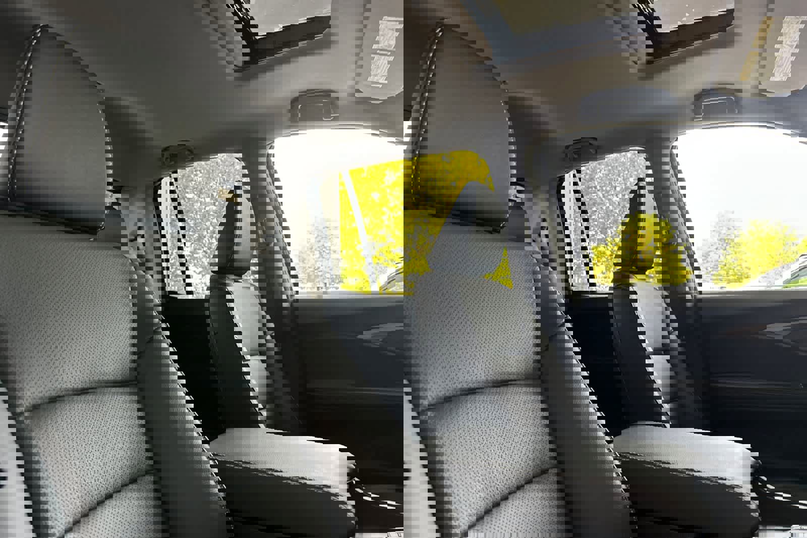 Used 2025 Honda Ridgeline RTL image 17