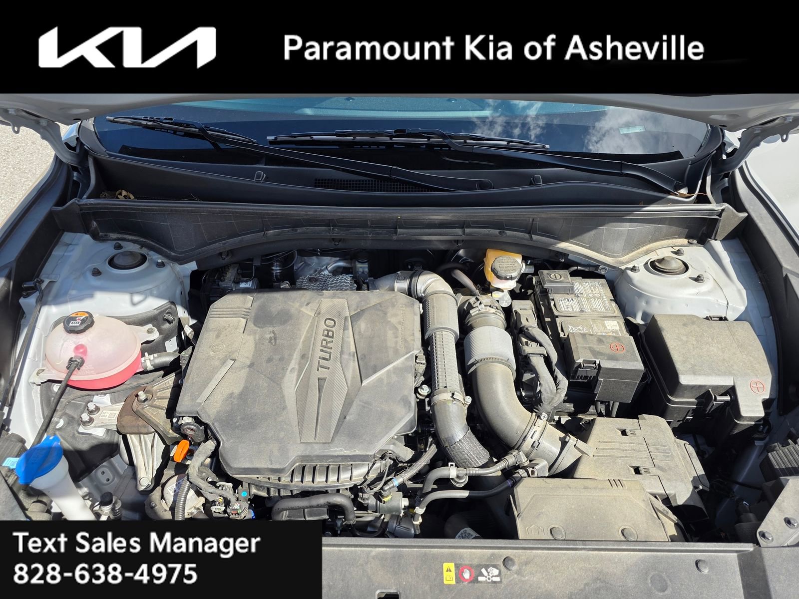 Certified 2023 Kia Sorento SX image 10