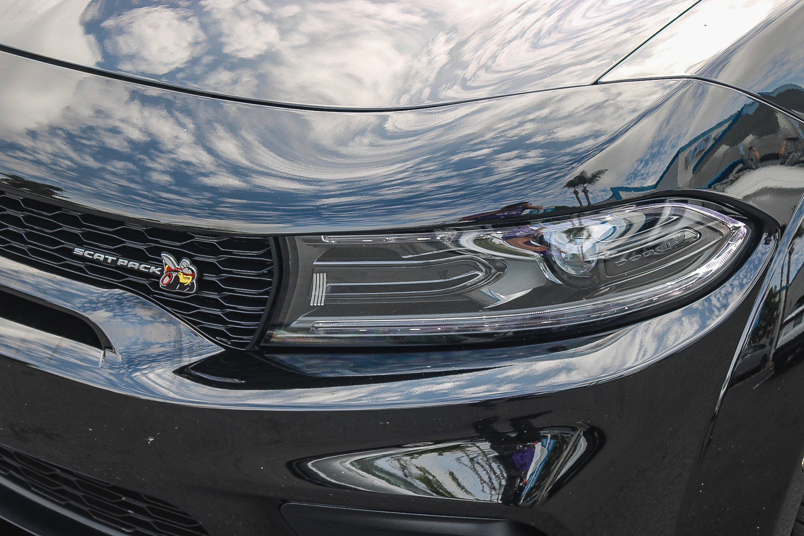 Used 2023 Dodge Charger Scat Pack image 5