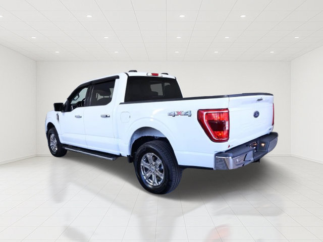 Used 2023 Ford F150 XLT w/ Equipment Group 302A High AWD/4WD image 6