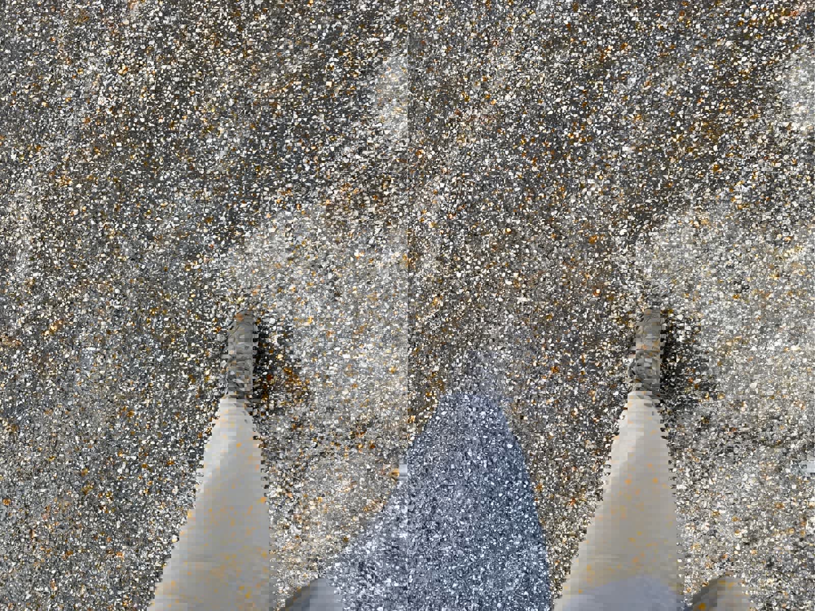 Used 2016 Chevrolet Silverado 1500 LT w/ All Star Edition image 7