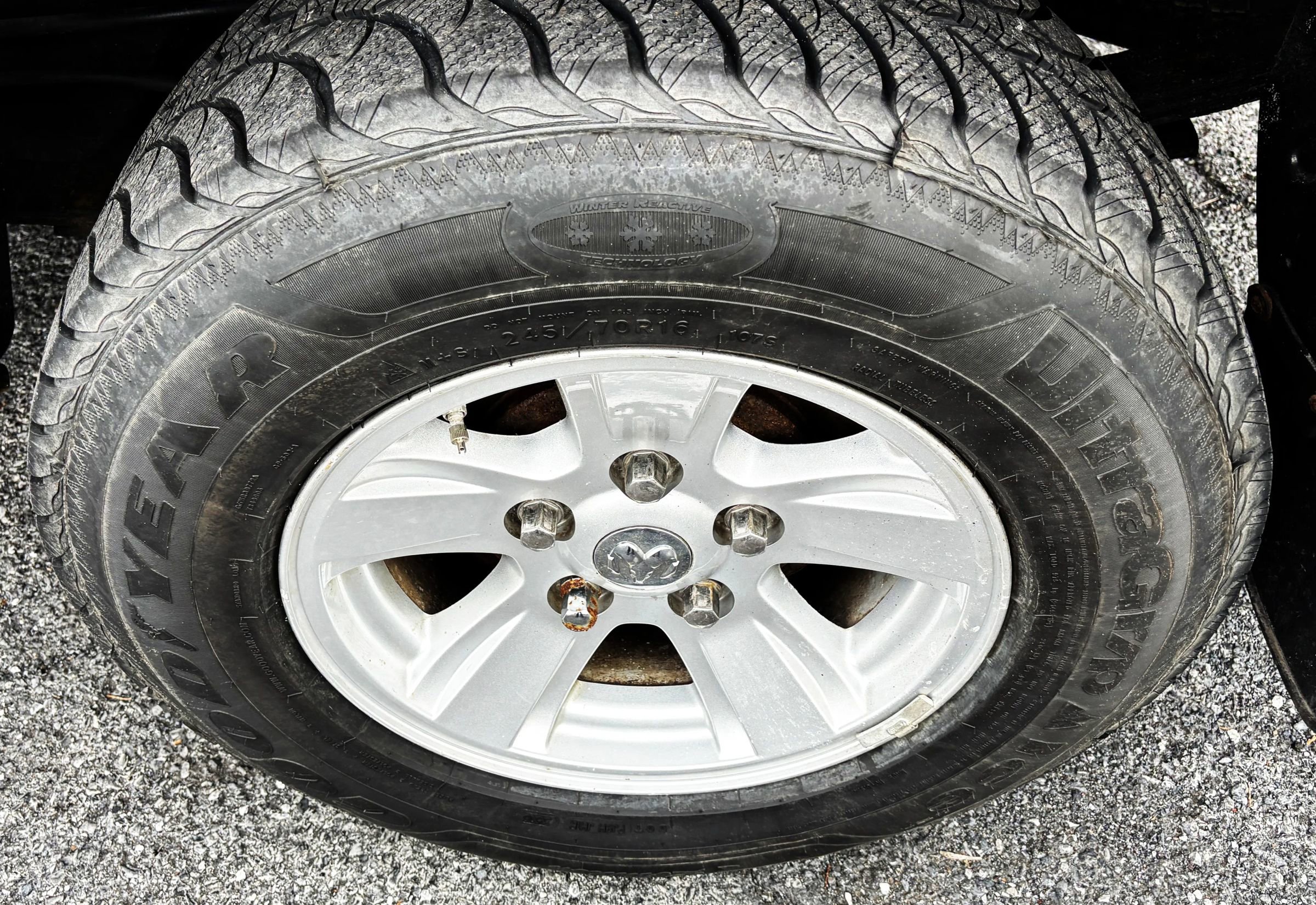 Used 2008 Dodge Dakota SLT image 8