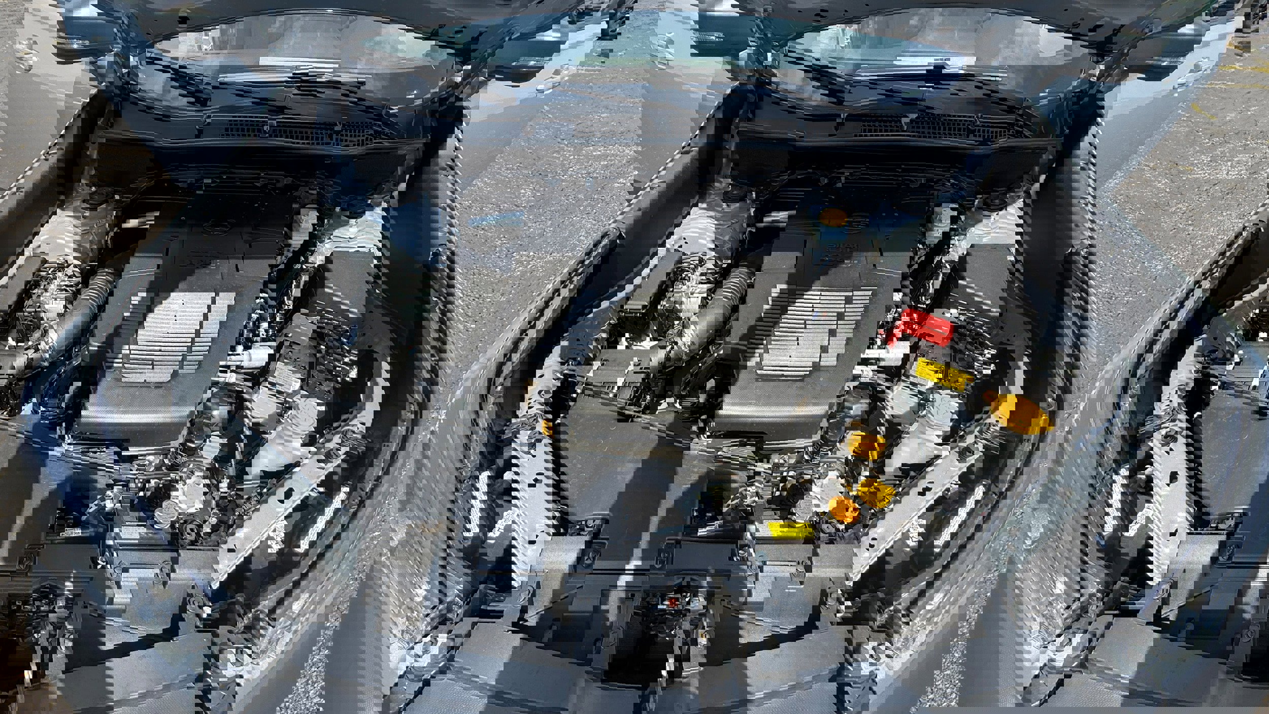 Certified 2024 Subaru Forester Wilderness image 9