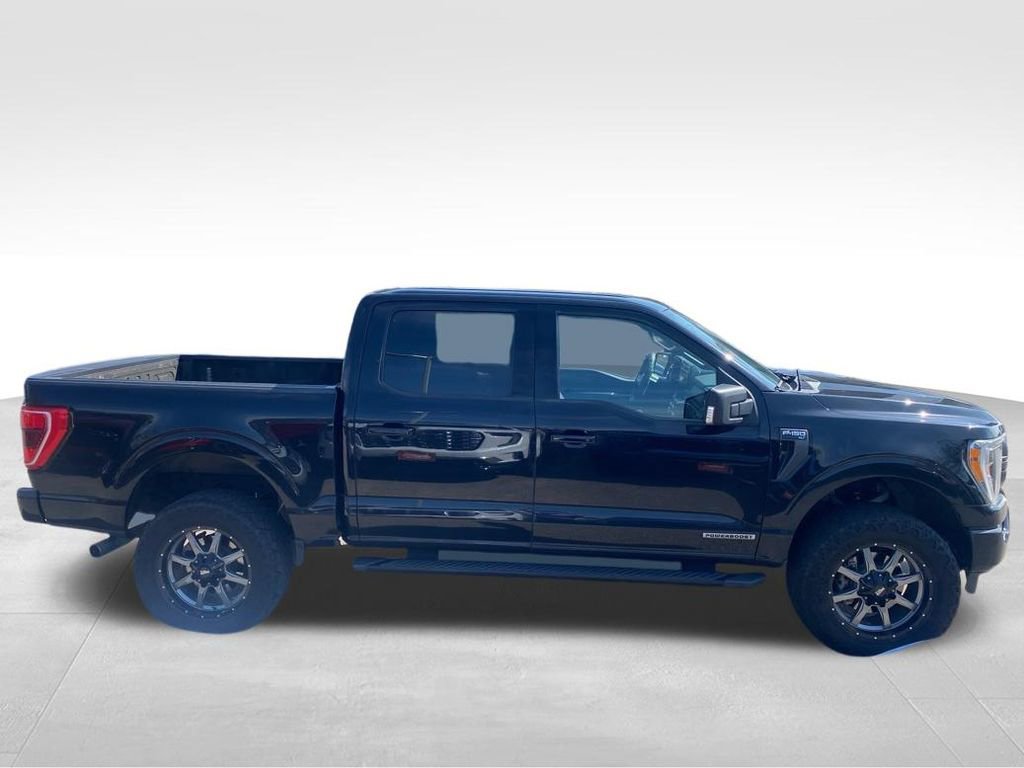 Used 2021 Ford F150 XLT w/ Equipment Group 302A High image 2