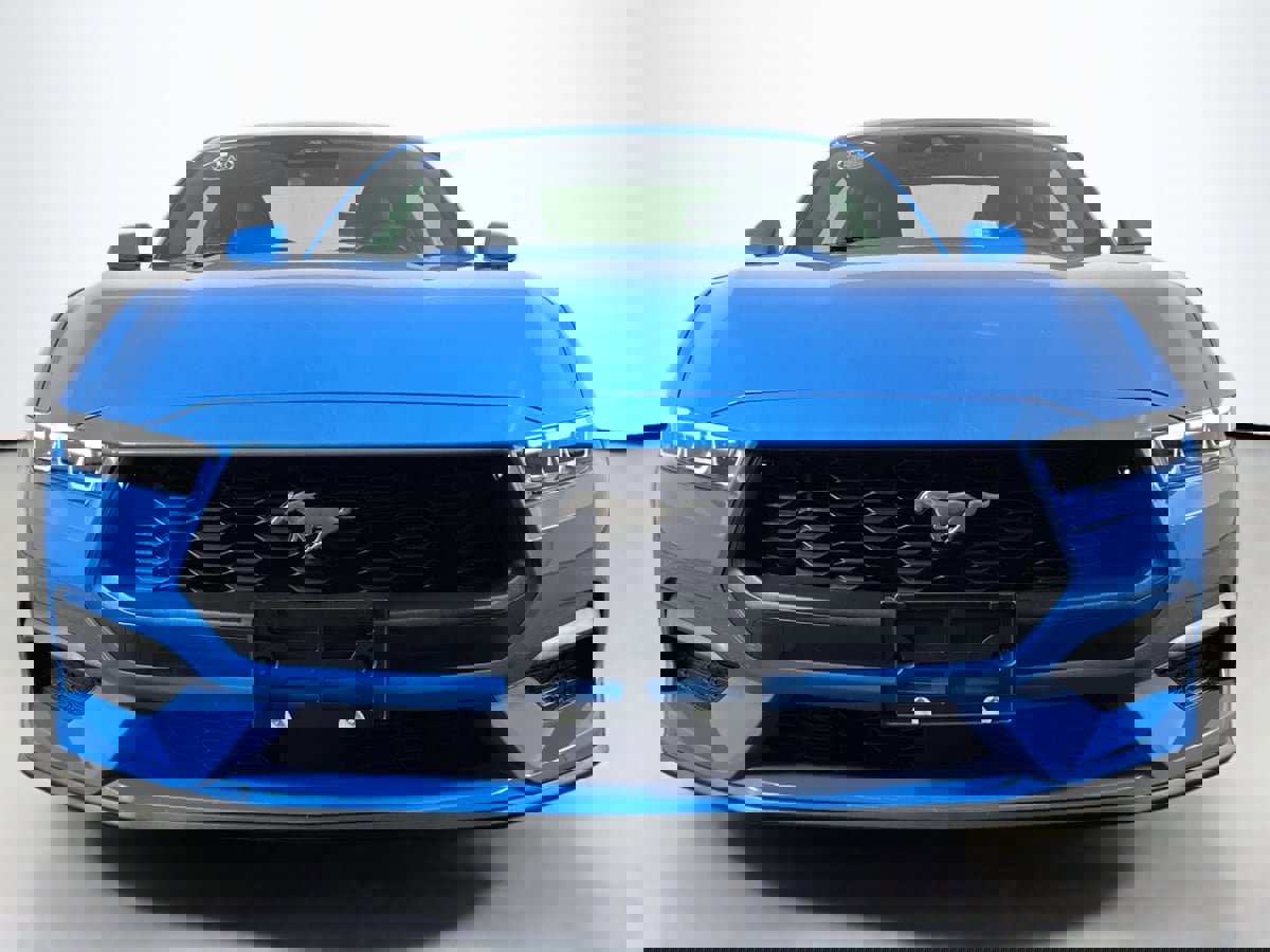 Used 2024 Ford Mustang Premium image 2