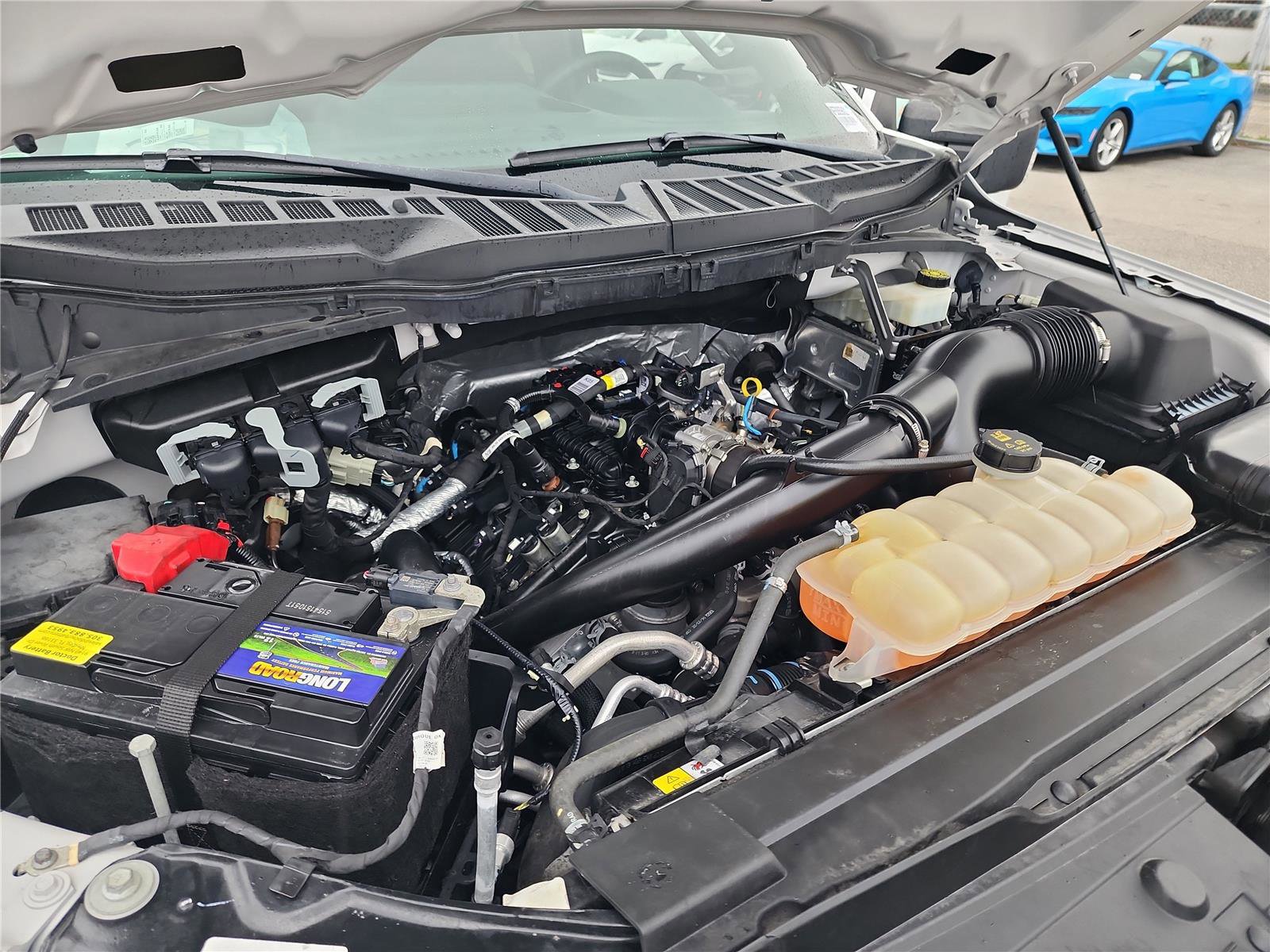 Used 2022 Ford F150 XL w/ STX Black Appearance Package image 14