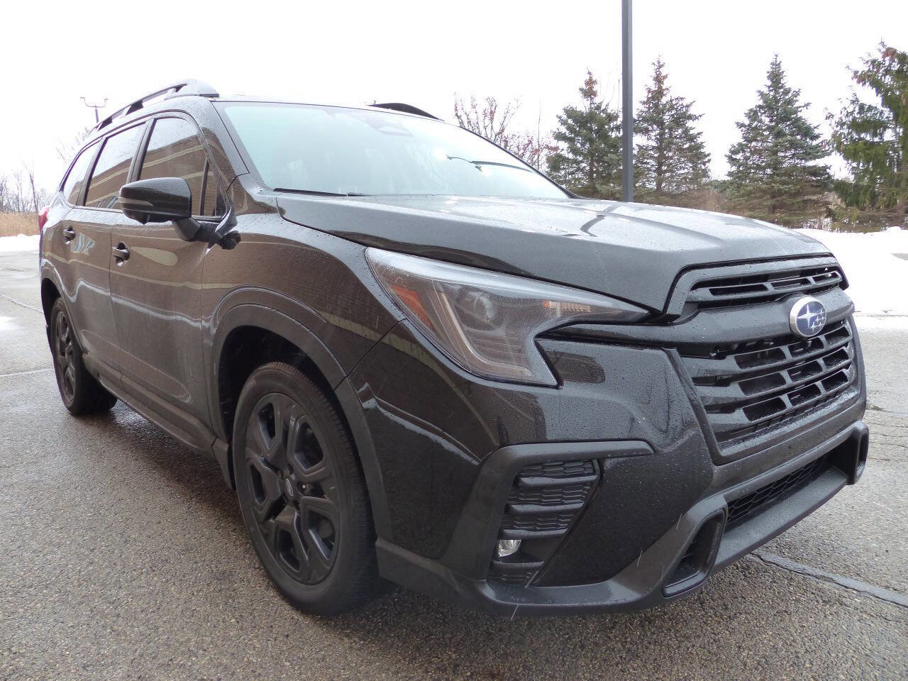 Used 2023 Subaru Ascent Onyx Edition Limited image 11