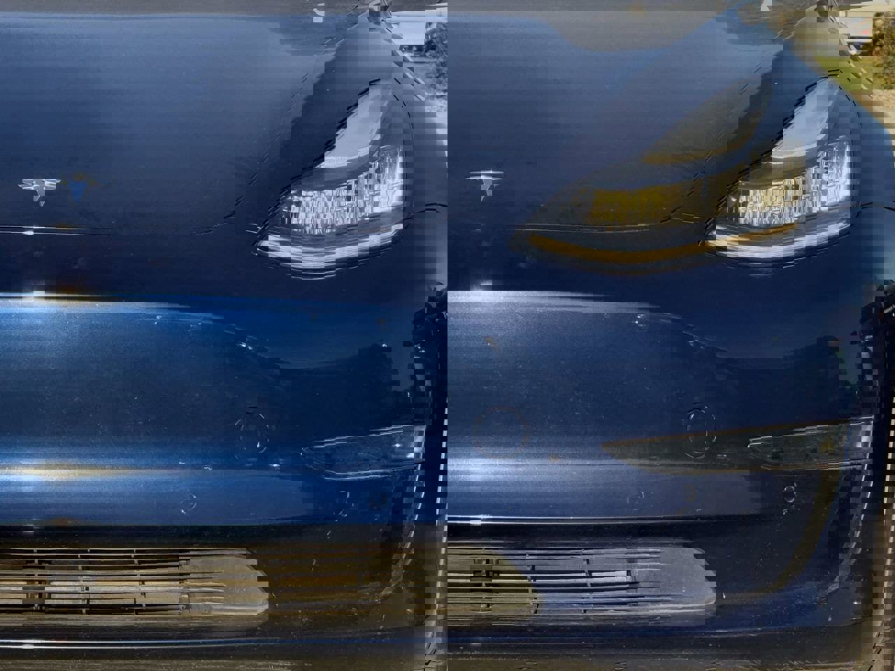 Used 2019 Tesla Model 3 Standard Range image 8