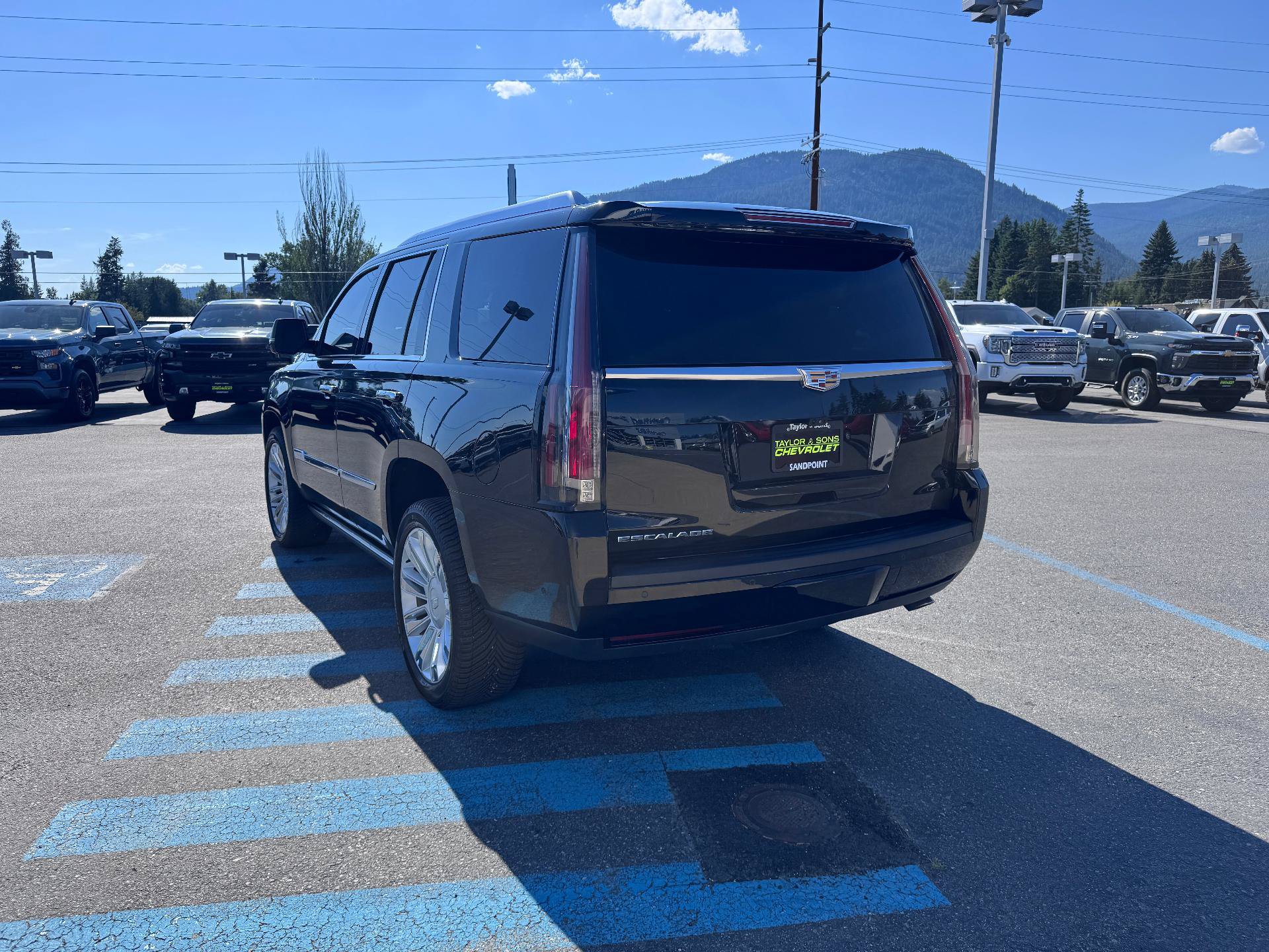 Used 2017 Cadillac Escalade Platinum AWD/4WD image 5