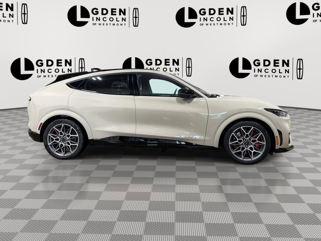 Used 2025 Ford Mustang Mach-E GT image 9